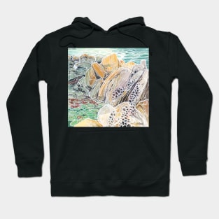 Tidepools and Tafoni Hoodie